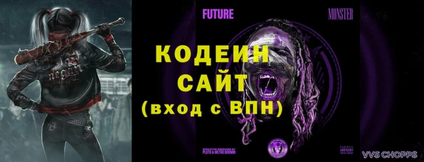 apvp Великий Новгород
