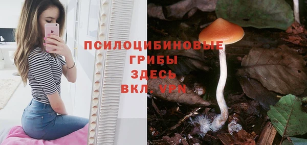 амф Магас