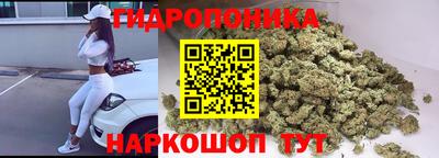 сатива Гагарин